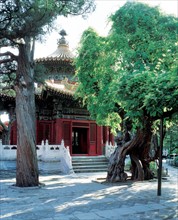 Imperial Garden, Forbidden City, Beijing, China