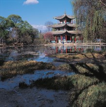Pagoda over swampy lake, China
