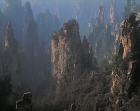 Le Mont Tianzi, Chine