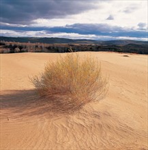 Desertic landscape, China