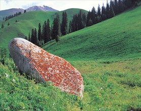 Stone on a hill, China