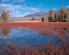 Marais, Chine