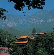 Pagoda, Henan Province, China