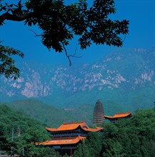 Pagoda, Henan Province, China