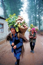 Récoltes, Dongchuan, province du Yunnan, Chine