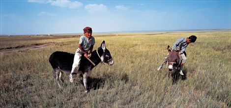 Comté de Balikun du Sinkiang, au Kazakstan, Chine