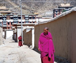 Lama tibétain, Chine