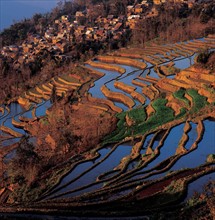 Karstic hill, China