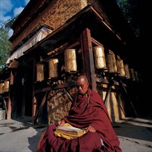 Lama, Chine