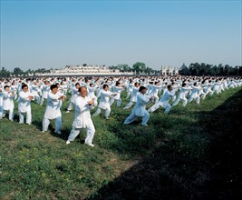 Démonstration de tai chi chuan, Chine