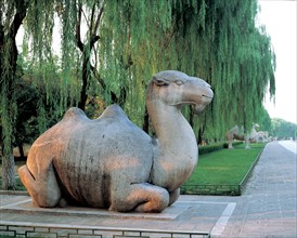 Statue de chameau, Chine