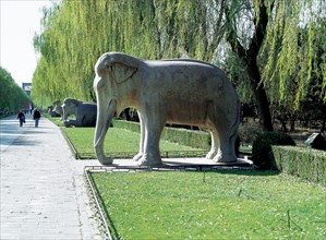 Ming Tombs, Stone elephant, Beijing, China