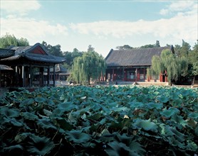 Le jardin du plaisir harmonieux, Chine