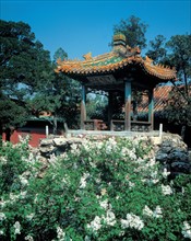 Little pagoda, China
