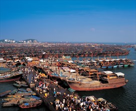 YangJiang ZhaPo Fishing Harbor, China