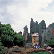 The Stone Forest of Yunnan Province, China