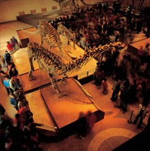 visitors look at the dinosaur skeletons in the hall of the Dinosaur Museum, Zigong, Sichuan Province, China