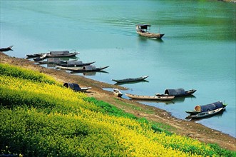 The riverbank of the Xin'an River,Shexian County,Anhui Province,China