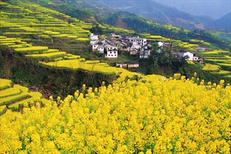 The cole fileds of Shexian County,Anhui Province,China
