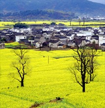 The cole fileds of Yixian County,Anhui Province,China