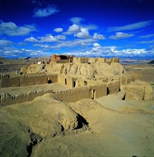 the Clay Forest of Zanda?Tibet,China