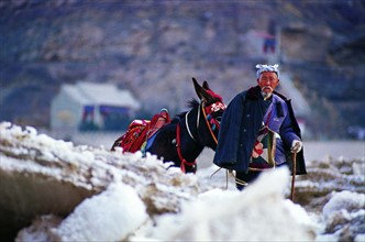 An old man with his donkey at the Hukou Waterfall,part of the Yellow River in Shaanxi Province,China