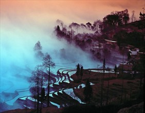 Terraced field in Yuanyang,Yunnan,China