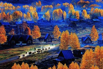 The beautiful landscape of Baihaba Village, Sinkiang Province, China