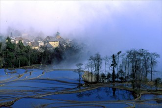Yuanyang in fog,Yunan Province,China