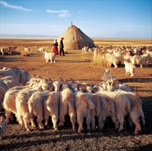 a flock of sheep and herdsmen on the meadow of Balikun County,Sinkiang Province,China