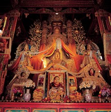 The Buddha statues at the hall of Longwu Lamasery,Qinghai,China