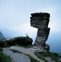 Mushroom Rock,Mount Fanjing,Guizhou Province,China