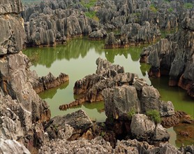 The Stone Forest,Yunnan Province,China