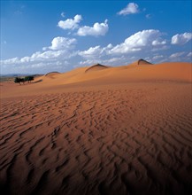 The Takelimakan Desert,Sinkiang Province,China