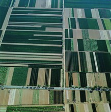 Aerial view of field in Shanxi,China