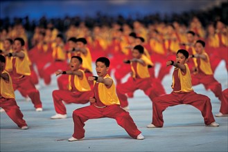 Performance of martial art,China