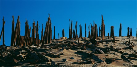 Xiaohe No.5 Graveyard in Lop Nur, Xinjiang,China