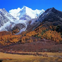 Xiariduji snow-covered mountain in Yading natural preserve in Daocheng, Sichuan,China