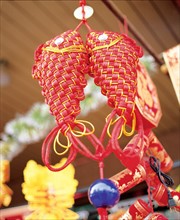 Fish shaped Chinese tie