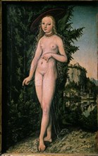 Cranach the Elder, Venus