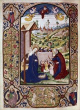 Zuñiga's codex : Birth