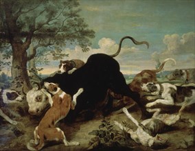 Snayers, Pack of Dogs Attacking a Bull