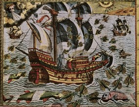 Flying fishes hitting Magellan's ship in the Pacific Ocean