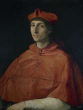 Raphaël, Le cardinal
