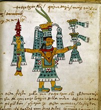 Détail d'une page du codex Tudela