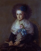 Goya, Marie Antoinette Gongaza - Duchesse de Villafraca