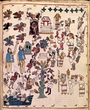 SAHAGUN BERNARDINO DE 1499-1590
HISTORIA  GENERAL DE LAS COSAS DE NUEVA ESPAÑA - MEDIADOS S