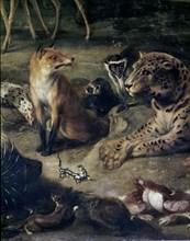 Thulden et Snyders, L'Orfeo - Detaille des animaux