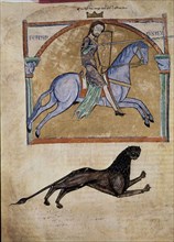 TUMBO A (1125 A 1255)-FERNANDO II 1145-1188 DE LEON-FOL 44 V-
SANTIAGO DE COMPOSTELA, BIBLIOTECA