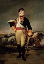 Goya, Portrait of Ferdinand VII of Spain